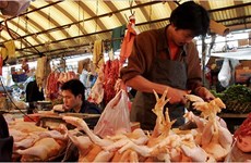 China allows import of Thai chicken meat