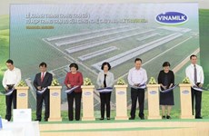 Vinamilk opens high-tech dairy farm in Thanh Hoa