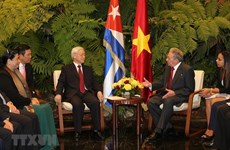 Vietnam, Cuba issue joint statement 