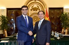 Vietnamese, Turkmen foreign ministries hold political consultation 