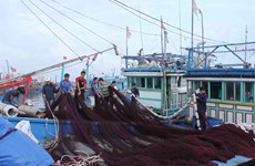 Quang Ngai tightens control of fishing activities to fight IUU
