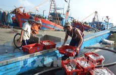 Ben Tre works hard to curb illegal fishing 