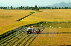 Vietnam commits to realising GMS high-tech agriculture priority