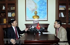 Ambassador: high political trust drives Vietnam-Russia ties forward 
