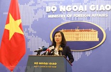 Vietnam expresses concern about situation in Syria