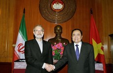 VFF pledges to contribute to Vietnam-Iran relations 