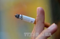 Over 45 percent of Vietnamese males smoke