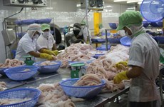 CPTPP, EVFTA to benefit Vietnamese fishery sector