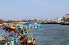 Ca Mau: boats violating foreign waters to be banned from operating