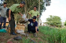 Measures taken to preserve biodiversity in U Minh Thuong National Park