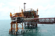 PetroVietnam to continue with large-scale divestment  