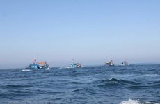  China’s fishing ban in Vietnamese waters valueless: MARD