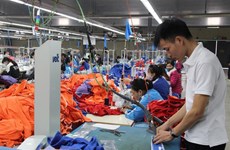 VN firms team up with Asia-Pacific partners for stronger growth
