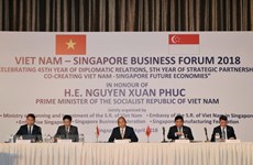 PM urges strong changes in Vietnam-Singapore economic partnership   