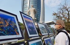 International photo exhibition runs in Da Nang