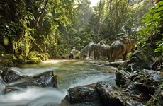 Thailand’s national park system starts annual closure of attractions