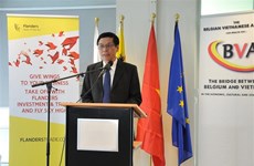 Belgian businesses seek cooperation opportunities in Vietnam