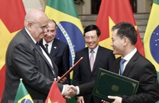 Vietnam hopes for enhanced cooperation with Brazil  