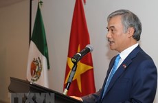 Vietnam, Mexico build new partnership in 21st century: Ambassador