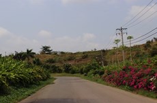 HCM City landfill grows into orchard