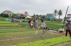 Positive policy making needed for agri-tourism booming