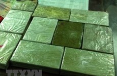 Thanh Hoa police seize 60 bricks of heroin 