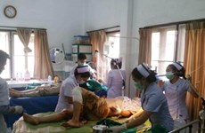 14 former OVs injured in bus accident in Laos 
