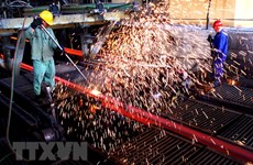Ministry, steel firms work to seek exemption from US duties