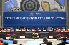 APEC trade ministers fail to agree on multilateral trade system