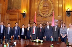 Vietnam wishes to bolster investment cooperation with Hungary