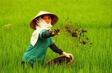 Demand for organic fertiliser rises