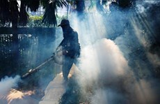 Thailand’s northeast faces risk of dengue fever outbreaks 