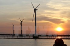 Vietnam learns international experience in wind power development