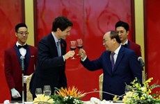 Vietnam-Canada relations to expand: official