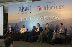 Vietnam has good growth momentum: Fitch forum