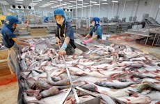 Catfish skin - a promising export