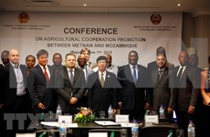Vietnam, Mozambique further foster agricultural cooperation