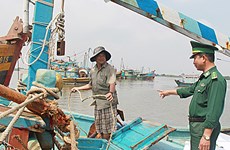 Ba Ria-Vung Tau strictly tackles illegal fishing in foreign waters