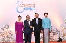 Vietnamese PM meets Thai counterpart on sidelines of ACMECS 8 