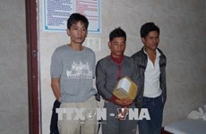 Kon Tum: three arrested for trafficking crystal meth 