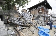 No Vietnamese killed, injured in Osaka earthquake