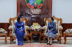 Vice President Dang Thi Ngoc Thinh active in Laos 