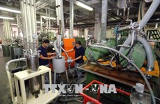 Dong Nai’s first half FDI attraction nearly meets yearly plan