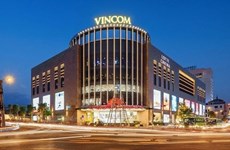 Property developer Vingroup to pay shares for 2017 dividend