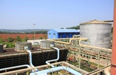 Binh Phuoc ethanol plant to resume operation 