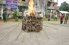 Drug-burning ceremonies mark World Drug Day in Southeast Asian