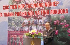 Hanoi, Fukuoka boost agricultural cooperation