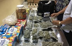 Customs officers uncover 4kg of marijuana at Tan Son Nhat airport 