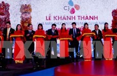 Korean delegation surveys investment climate in Ha Nam