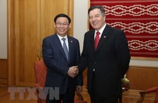 Chile – Vietnam’s important Latin American partner: Deputy PM 